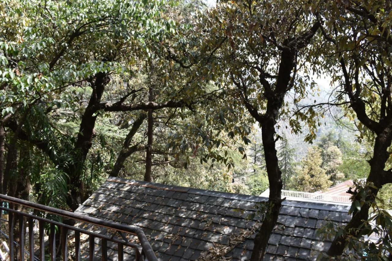 Hotel Misty Woods Dharamshala Esterno foto