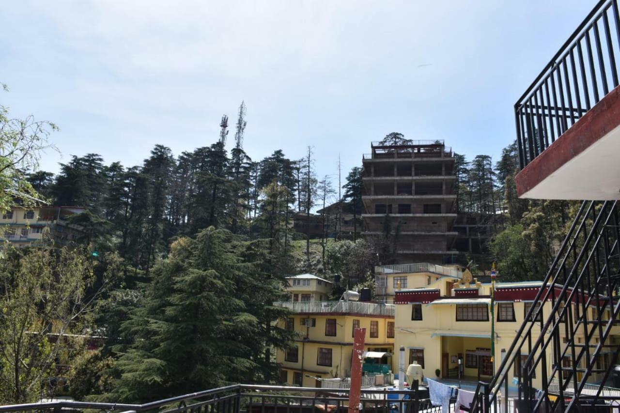 Hotel Misty Woods Dharamshala Esterno foto