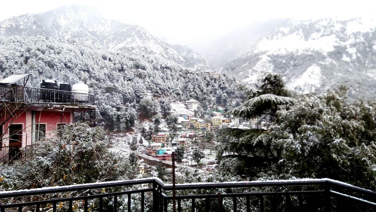 Hotel Misty Woods Dharamshala Esterno foto